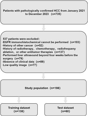 Machine learning based ultrasomics noninvasive predicting EGFR expression status in hepatocellular carcinoma patients